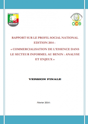Profil social national édition 2014 : « Commercialisation de l’essence dans le secteur informel au Bénin : analyse et enjeux de la commercialisation de l’essence dans le secteur informel au Bénin : analyse et enjeux »