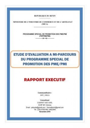 Evaluation du Programme Spécial de Promotion des PME/PMI